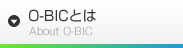 O-BICとは